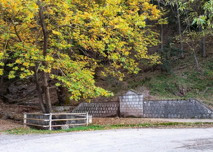 Summit Guest House